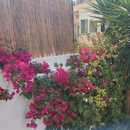 Apartment With Private Garden - Central Location Lisboa Εξωτερικό φωτογραφία