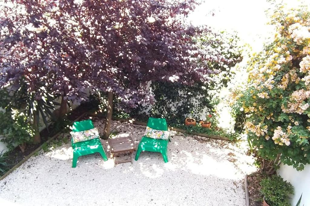 Apartment With Private Garden - Central Location Lisboa Εξωτερικό φωτογραφία