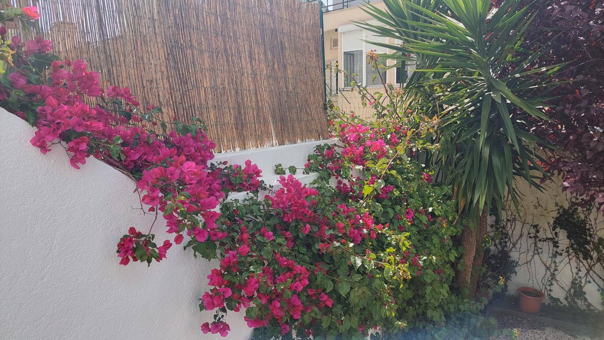 Apartment With Private Garden - Central Location Lisboa Εξωτερικό φωτογραφία